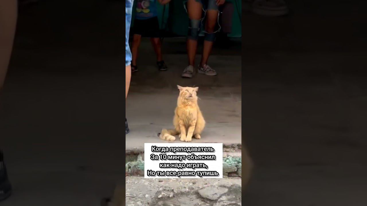 когда не понял #shorts смотреть онлайн