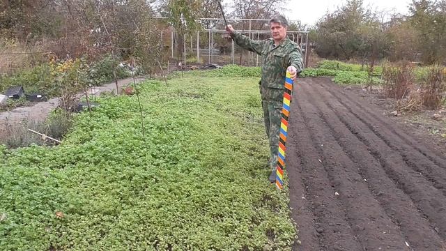 Сидераты׃ Наполняют ли почву азотом своими корнями бобовые? смотреть онлайн