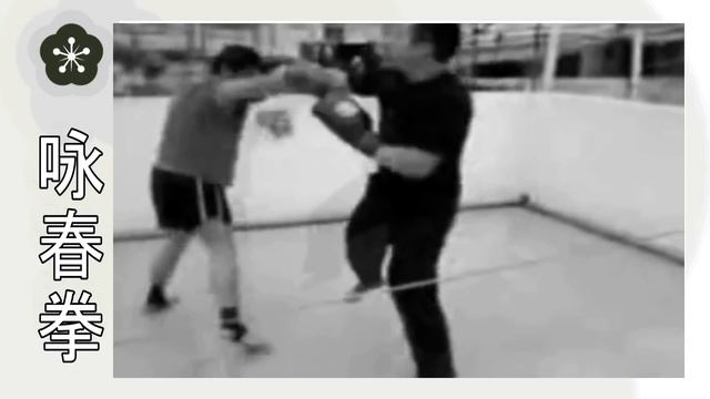 Спарринг на крыше: Вин Чун против Муай Тай смотреть онлайн