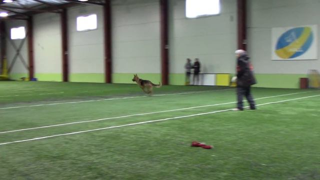 Зимина Наталья и НО Холс Pitch-and-go сорев. AmiGo