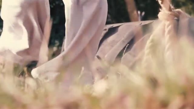 Karate vs Capoeira смотреть онлайн