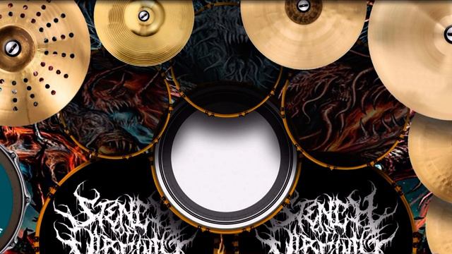 You belong with me - Taylor Swift (Real Drums Cover) смотреть онлайн