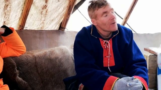 КУДА ПОЕХАТЬ В РОССИИ: СЕВЕРНЫЙ ОЛЕНЬ. СААМЫ. ЧУМ #ПУТЕШЕСТВИЯПОРОССИИ смотреть онлайн