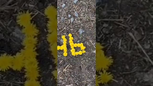 вместо 1000 слов смотреть онлайн