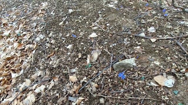 ЧТО МОЖЕТ НИВА против УАЗА на БЕЗДОРОЖЬЕ.OFFROAD КРЫМ.Часть1 смотреть онлайн