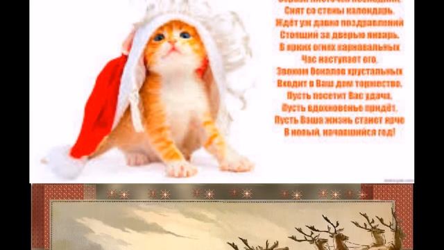 Дед Мороз на дом в СПБ смотреть онлайн