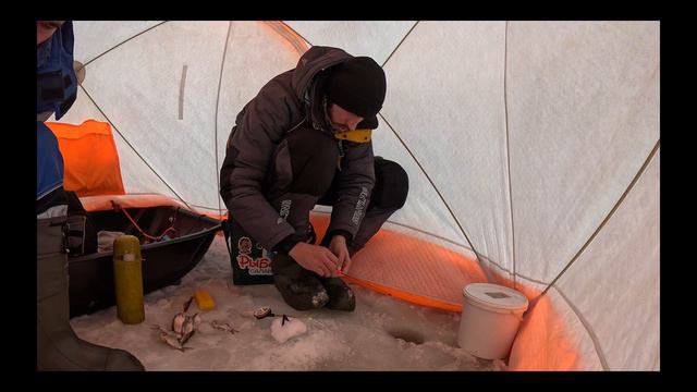 Рыбалка в Самаровке ! А что глухозимье? смотреть онлайн