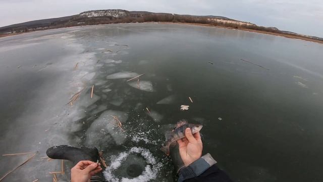 Река Сок - затоны и русло по первому льду / Ловля на балансир /Окунь по перволедью/Самарская област смотреть онлайн