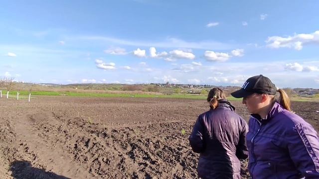 Наш дом у реки, Все заросло камышом) смотреть онлайн