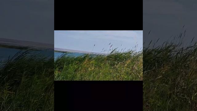 рыбалка в городе Кунаев смотреть онлайн