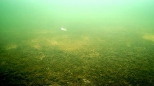 ЭТА БЛЕСНА тебя УДИВИТ! ? САМОДЕЛЬНАЯ БЛЕСНА на ОКУНЯ ? ЛЁГКАЯ БЛЕСНА из НЕРЖАВЕЙКИ