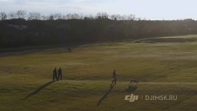 DJI M300 RTK | Координация работы полиции с воздуха смотреть онлайн