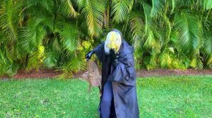 Настя и папа - история по вредную колдунью