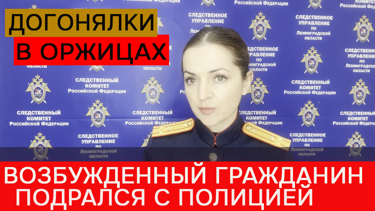 Неадеквата в Оржицах поймали «с боем» смотреть онлайн