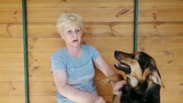 Два вольера оказались под прямыми солнечными лучами. В них очень жарко, а впереди лето. смотреть онлайн