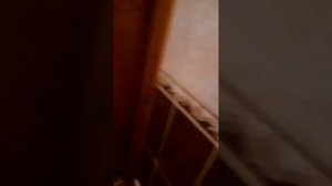 влог из туалета пока я сру