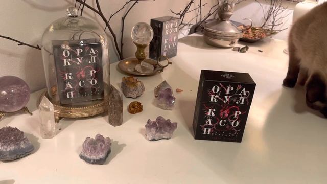 Обзор Оракула «Корасон». Попытка 1. смотреть онлайн