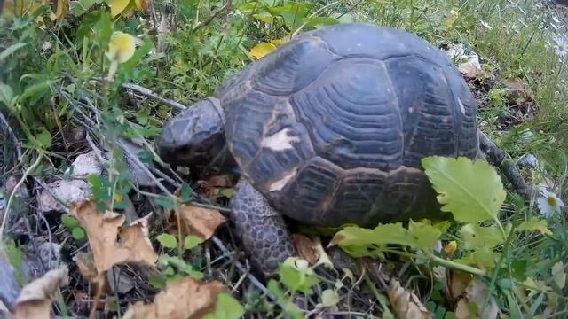Турция апрель 2017 смотреть онлайн