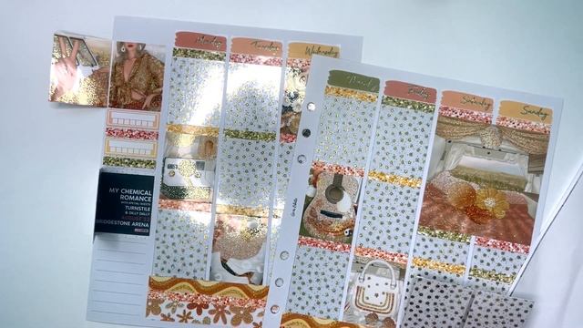 Plan with me Groovy May 22 Mystery frm Glam Planner feat Plannahannah Rose Colored Daze Carlea Plan смотреть онлайн