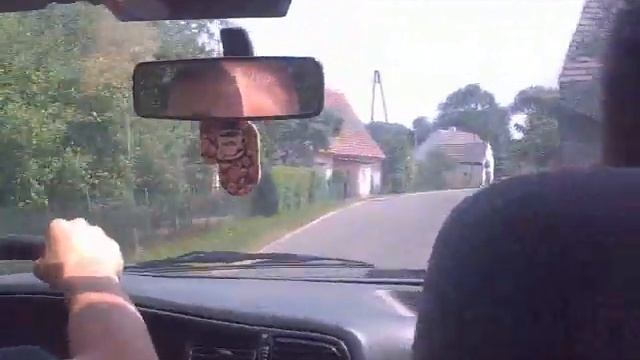 Wycieczka za miasto Renault 19 смотреть онлайн