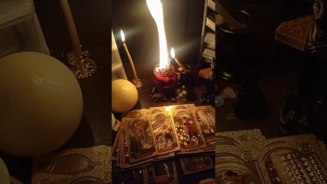 Что происходит, что расскажут + чистка смотреть онлайн