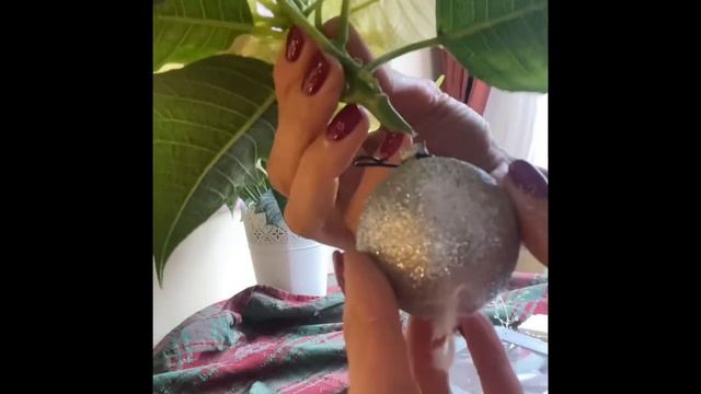 Наряжаем ёлку живыми цветами: рождественской звездой и розами смотреть онлайн