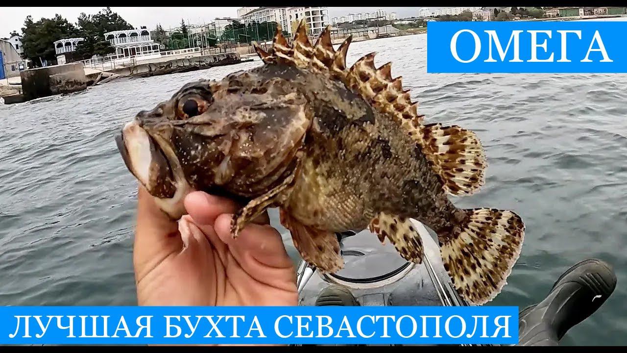 ЛУЧШАЯ бухта Севастополя! 3 дня на Омеге или что можно поймать в Черном Море на наживку с пресняка?? смотреть онлайн