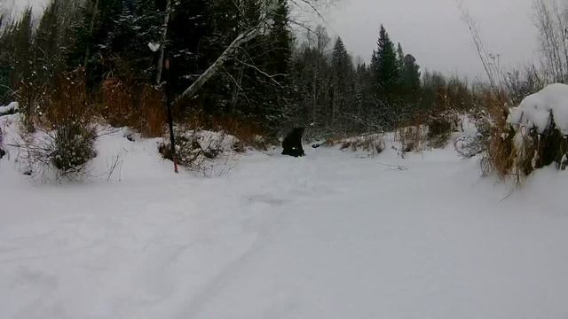 Выезд в тайгу . Ищем харюзовые ямки! смотреть онлайн