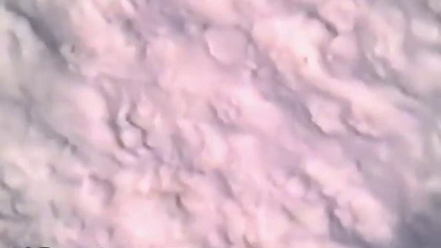 Река Плотникова весной смотреть онлайн