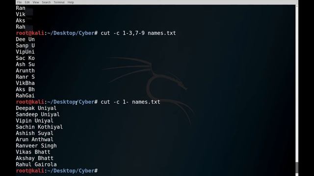 Cyber Security Tutorials | L19: Cut Command In Linux | Pipe in Linux | Split CSV | The Easy Concept смотреть онлайн