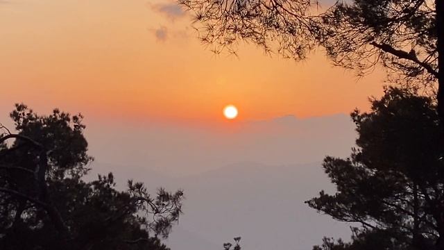 2 DAYS CAMP UNDER A ROCK | Alone in Nature / Shelter Construction - Buschraft смотреть онлайн