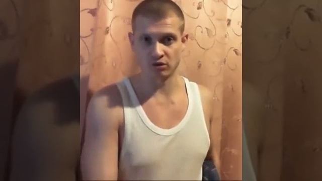 Многовариантность, кот Шрёдингера (Идущий к реке) смотреть онлайн