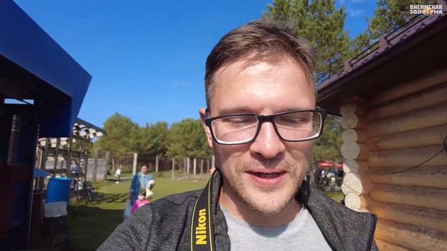 Висимская зооферма или мараловая ферма в поселке Висим, олени, лошади, страусы, хаски, павлины и пр смотреть онлайн