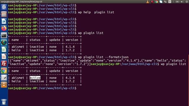 Wordpress WP CLI Tutorials for Beginners #11 Manage Plugins (List, Get, Path) - WP CLI Command смотреть онлайн