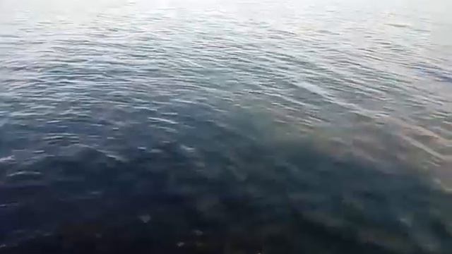 погода в Анапе сегодня 9 июня 2023 смотреть онлайн