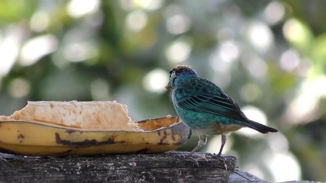 Всем доброго утра и хорошего дня! смотреть онлайн