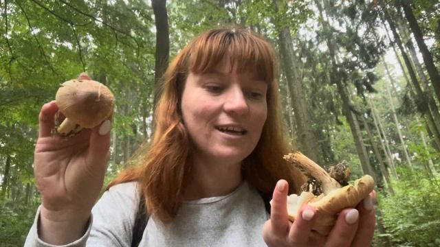 Гриби для косметики та Їжовик коралоподібний. Грибна прогулянка частина 2 смотреть онлайн