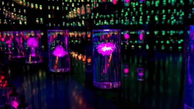 Музей будущего в Дубае. Как выглядит музей изнутри? Самый честный обзор. Museum of the Future, UAE смотреть онлайн