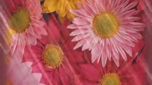 красивые футажи и фоны для монтажа