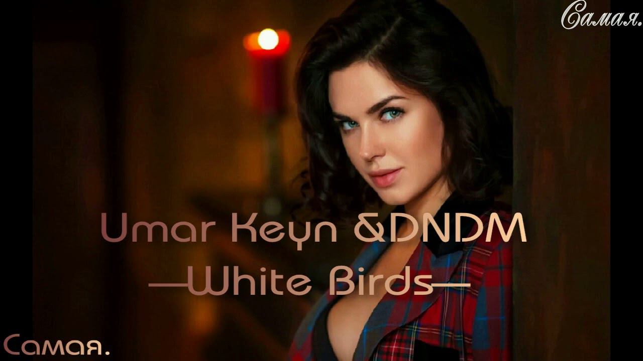 Umar Keyn & DNDM--White Birds--