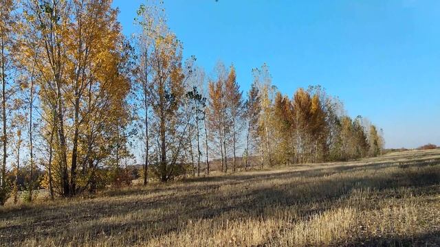 Первые свободные полеты ястреба смотреть онлайн