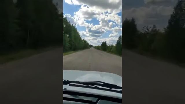 дорога Вязьмино - Кутьино в процессе ремонта. смотреть онлайн