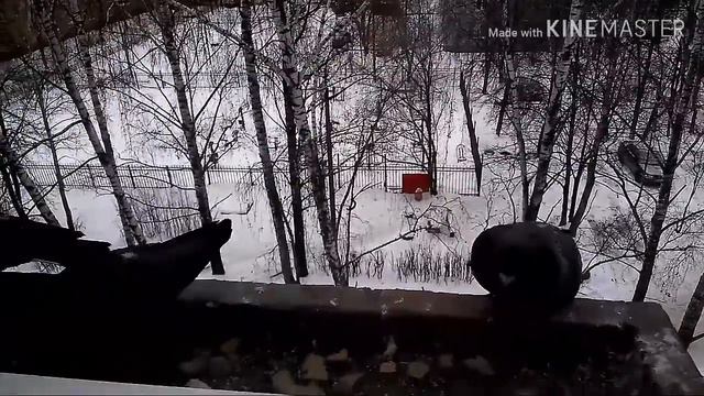 Серия фильмов: "Мой окружающий мир" смотреть онлайн