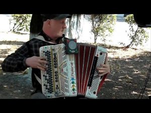 Сергей Некрасов. Баянист. День города. 2019. Каменск-Шахтинский. Видео. Арон Моисеевич.
