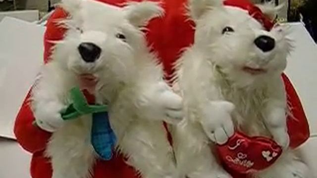 Plush Dog Couple Singing Duet смотреть онлайн