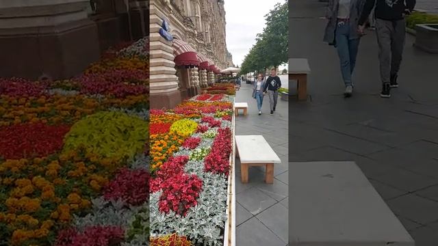 А Я ИДУ ШАГАЮ по МОСКВЕ...КРЕМЛЬ, ГУМ, ИСТОРИЧЕСКИЙ МУЗЕЙ, КАЗАНСКИЙ СОБОР. смотреть онлайн