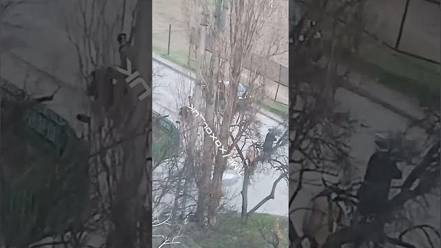 А этот тцкашник ничего не съел и совесть напрочь отсутствует смотреть онлайн