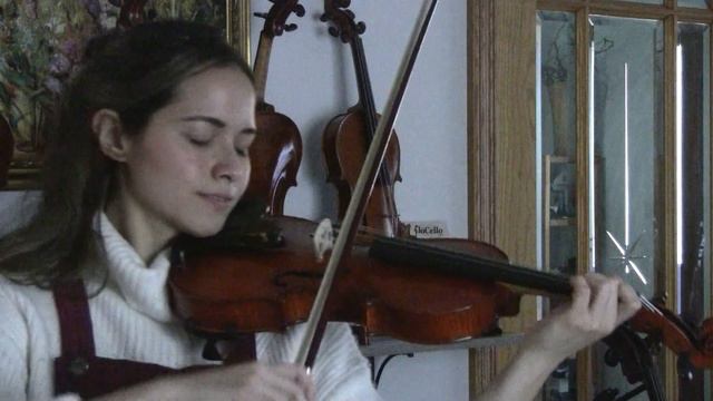 Violin model Stradivarius of FLOCELLO EUROPEAN STRING INSTRUMENTS flocello.com & Kimberly Durflinge смотреть онлайн