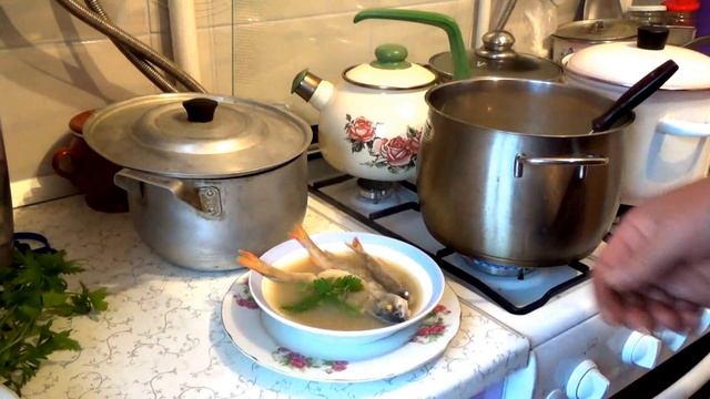 Рыбный суп, уха, юшка, рыбный бульон, рыбное желе .Как приготовить окуня - АппетитНО #13 смотреть онлайн