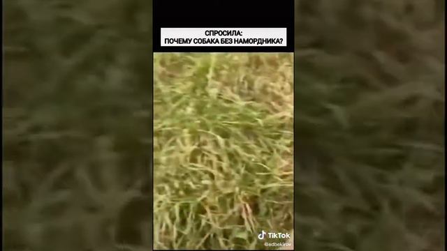 Беги дорогая беги смотреть онлайн